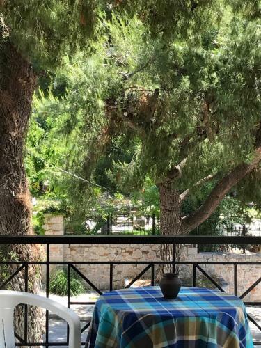Aparthotel Calypso Beach Hotel