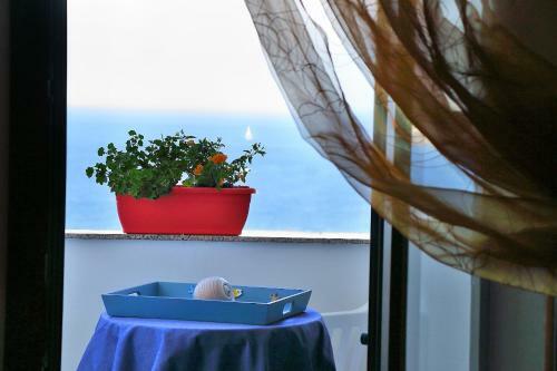 B&B L'orizzonte