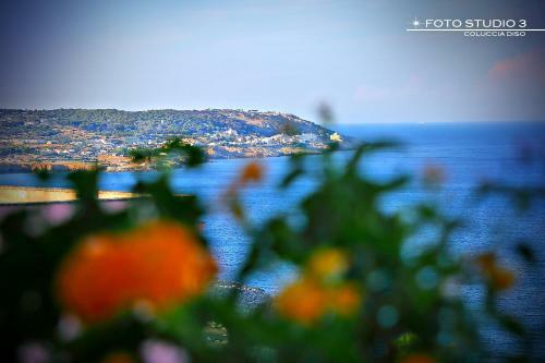 B&B L'orizzonte