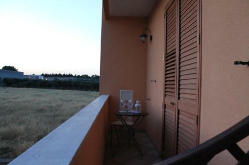 B&B Zahir