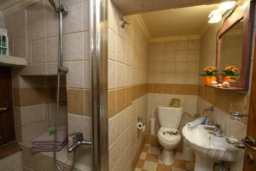 Venetis Luxury Apartments