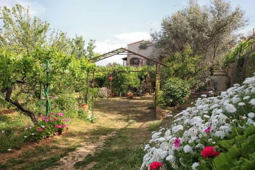 Venetis Luxury Apartments