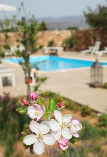 Venetis Luxury Apartments