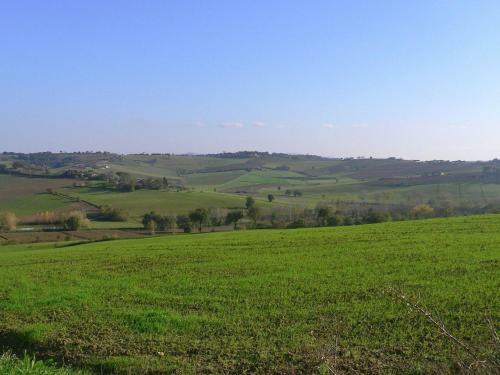 Cozzano