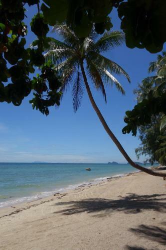 Hotel Silvermoon Beach & Jungle Resort