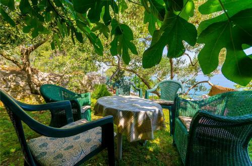 Apartments Dragica