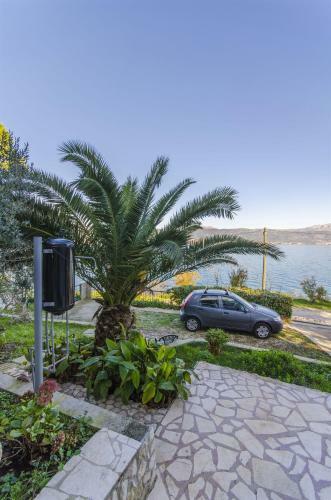 Apartments Dragica