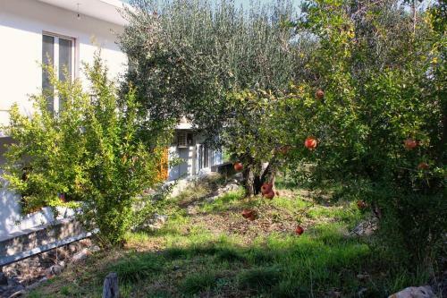 Hostal Apartments With A Parking Space Arbanija (ciovo) - 5228