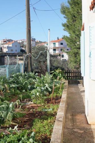 Hostal Apartment Slatine 5999c