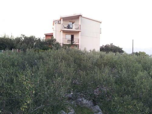 Apartments Jelica