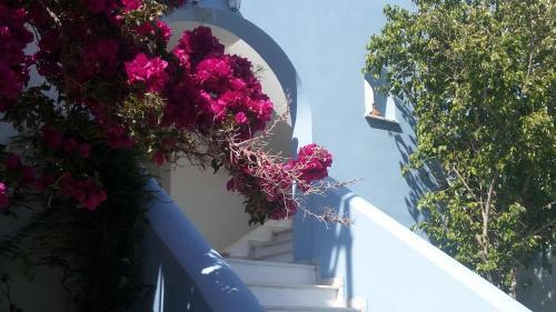 Hostal Blue And White