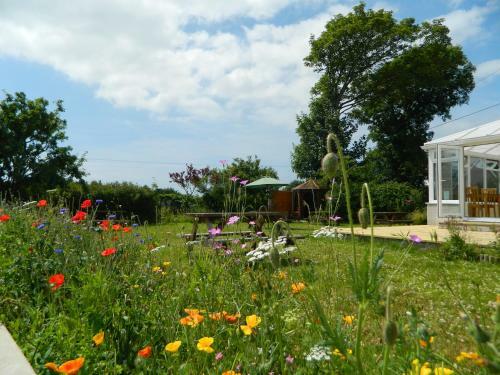 Bed & Breakfast Taldrwst Farmhouse