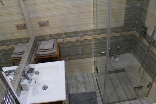 Apartment Dejvice