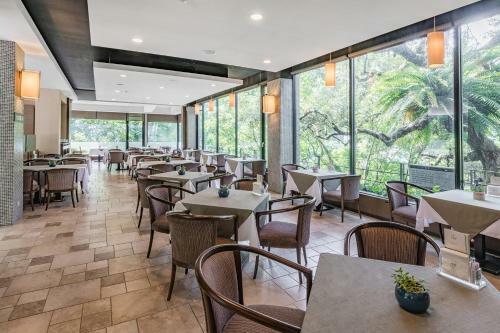 Hotel Great Roots Forestry Spa Resort