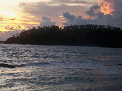 Hostal Village Star Rest-mirissa