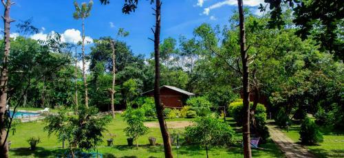 Posada Birds Paradise Inn