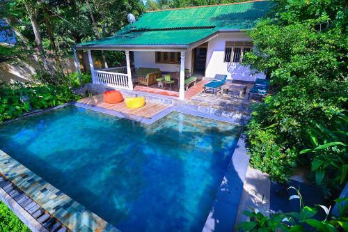 Serendipity House