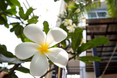Hotel Evergreen Resort Cha-am