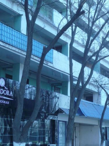 Apartment Tsentr 5