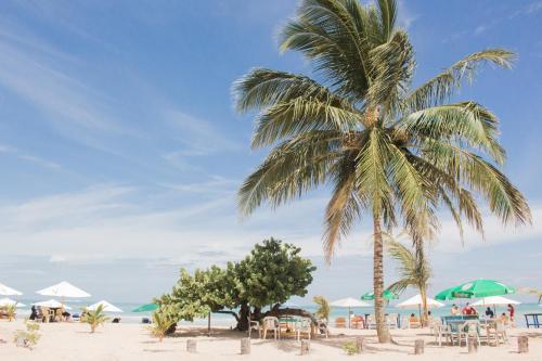Macao Beach Hostel