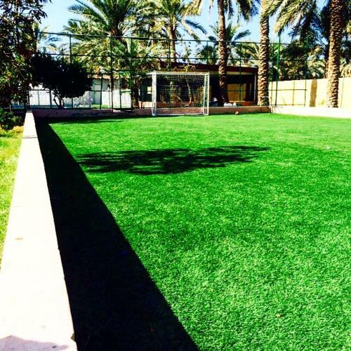 Esterahat Al Faisal ( Farm House)