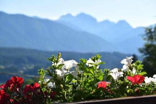 Apartamento Haus Silver Fern