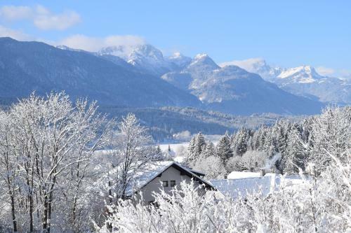 Apartamento Haus Silver Fern