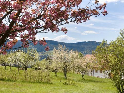 Apartamento Ferienhaus Weps