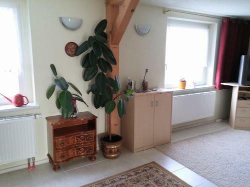 Apartamento Ferienhaus Wille