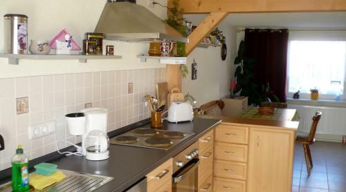 Apartamento Ferienhaus Wille