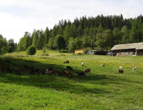 Agroturismo Landhof Steinh�tte