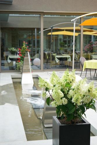 Hotel Sch�tzen Steffisburg