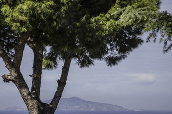 Bed & Breakfast Il Giardino Dell'arte - Guest House