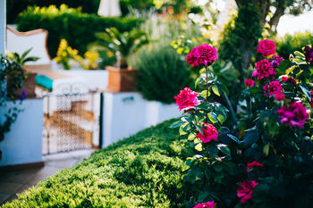 Bed & Breakfast Il Giardino Dell'arte - Guest House