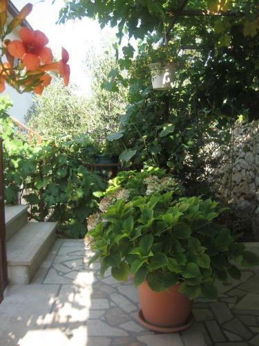Hostal Apartments With A Parking Space Seget Vranjica (trogir) - 11273