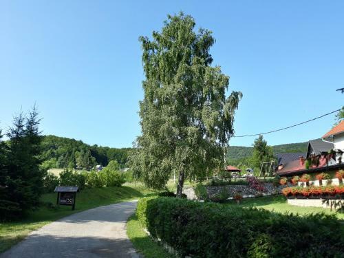 Hostal Pansion Breza