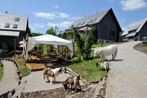 Ethno Houses Plitvica Selo