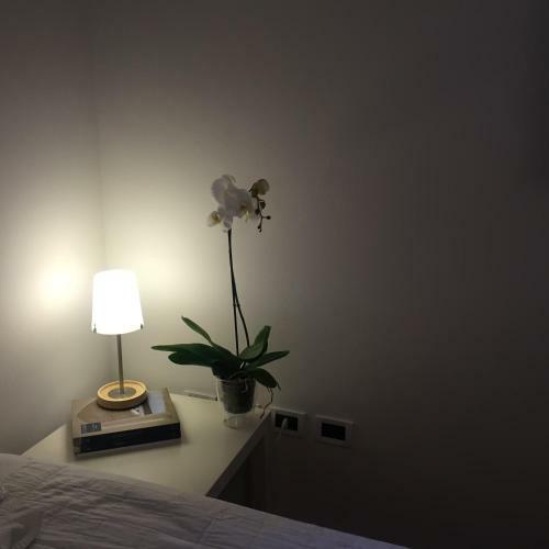 Apartamento Angiola's Home