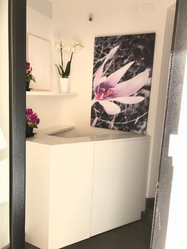 Hotel Viol� Boutique Rooms