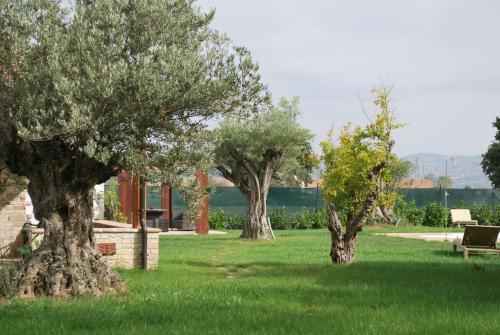 B&B Cuor Di Lavanda