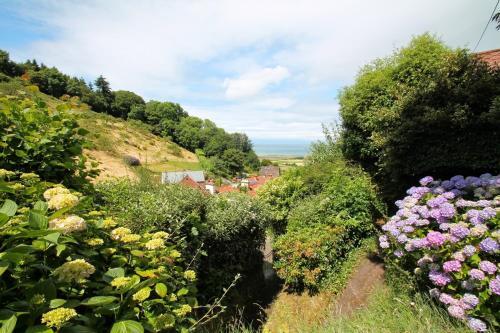 Halsecombe Cottage
