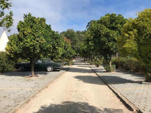 Agroturismo Quinta Da Fontoura