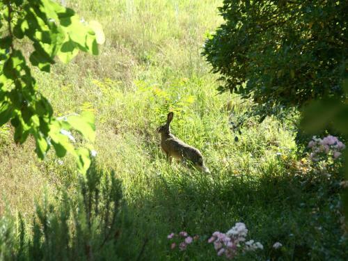 Fattoria I Fratelli Villa Vivai