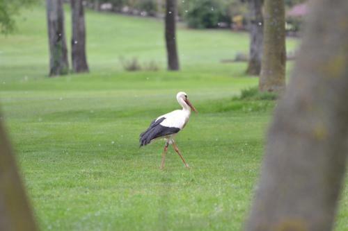 Villaverde Hotel Spa&golf Udine