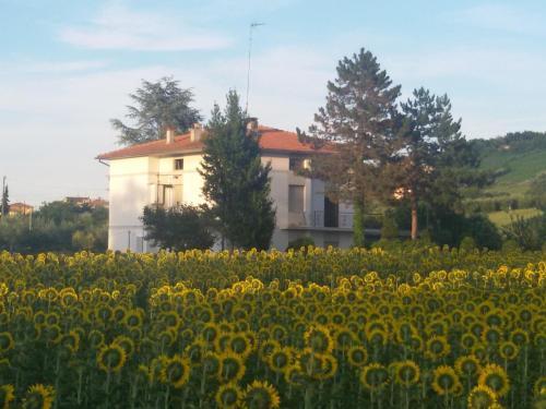 B&B Il Ponte Di Legno