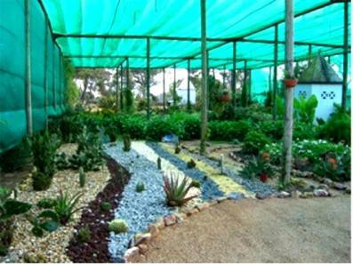Hostal Hospedaria Boavistense
