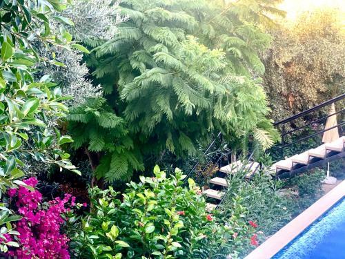 Hotel Club Barbarossa
