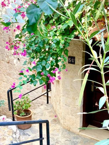 Hotel Club Barbarossa
