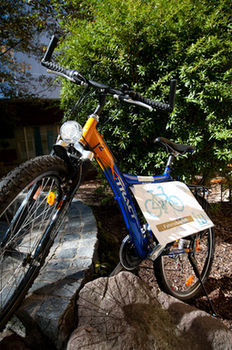 Apartamentos Hostel Haus International
