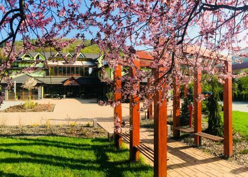 Hotel Daro